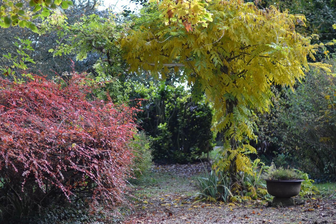 Domaine De Benveau Brécy Buitenkant foto